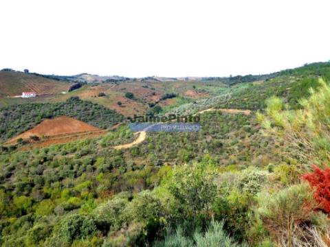 12.000m2 Terra Agrícola p/ plantações novas. Bragança, Alfândega da Fé.