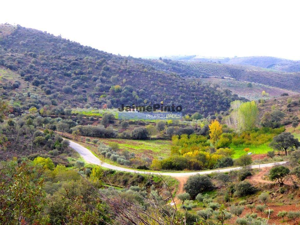 12.000m2 Terra Agrícola p/ plantações novas. Bragança, Alfândega da Fé.