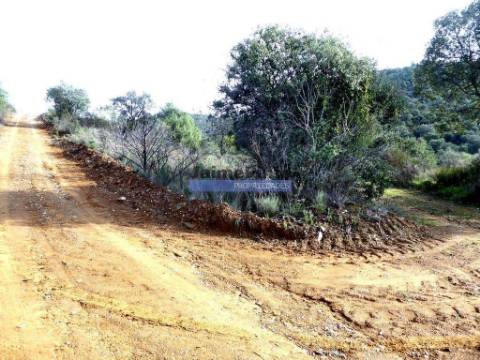 12.000m2 Terra Agrícola p/ plantações novas. Bragança, Alfândega da Fé.