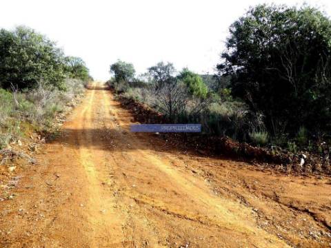 12.000m2 Terra Agrícola p/ plantações novas. Bragança, Alfândega da Fé.
