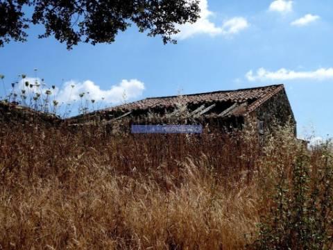 Herdade 162,5ha no Alentejo. Portugal, Beja, Almodôvar