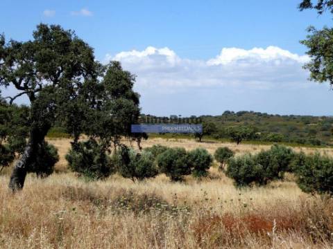 Herdade 162,5ha no Alentejo. Portugal, Beja, Almodôvar
