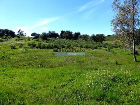 Herdade 162,5ha no Alentejo. Portugal, Beja, Almodôvar