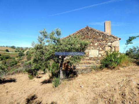 7,0 HA OLIVAL e CASA de CAMPO. Portugal, Barca dAlva, F. C. Rodrigo.