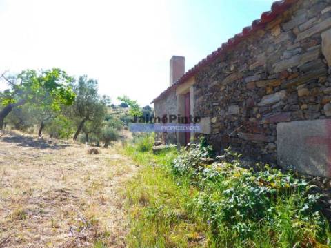 7,0 HA OLIVAL e CASA de CAMPO. Portugal, Barca dAlva, F. C. Rodrigo.