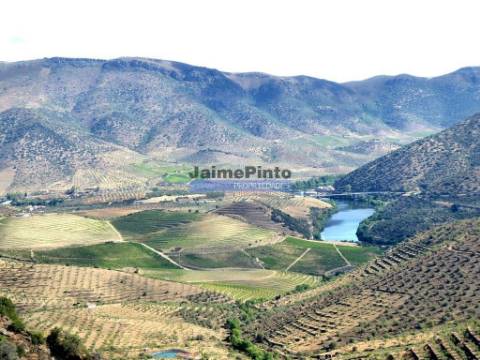 7,0 HA OLIVAL e CASA de CAMPO. Portugal, Barca dAlva, F. C. Rodrigo.
