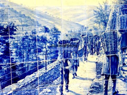 Quinta de Vinho do Porto e Doc. Portugal, Douro, Pinhão.