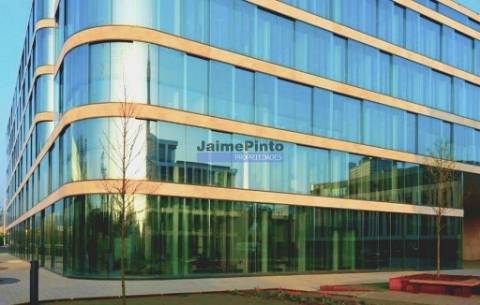 Terreno 43.000m2 p/ Comércio, Serviços, Equipamentos. Portugal, Aveiro, Águeda.