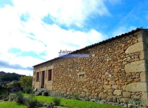 48ha p/ plantações novas, com olival, sobreiros, ruínas e próximo do Rio Douro. Portugal, F. C. Rodrigo.