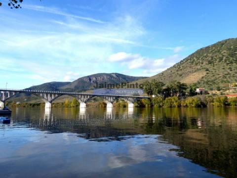 48ha p/ plantações novas, com olival, sobreiros, ruínas e próximo do Rio Douro. Portugal, F. C. Rodrigo.