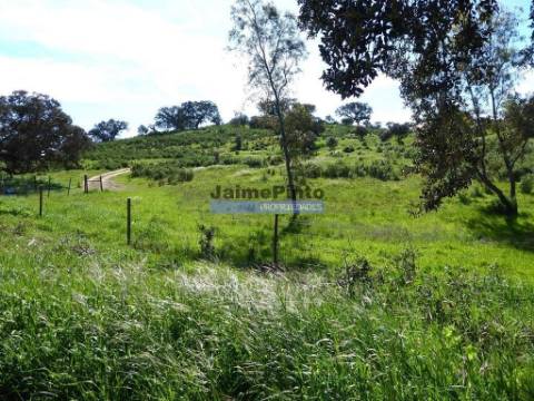 Herdade 162,5ha no Alentejo. Portugal, Beja, Almodôvar.