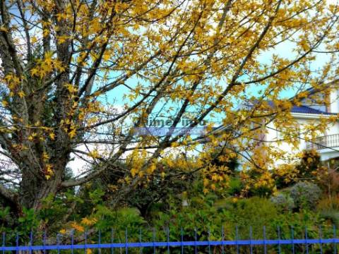 Casa de 9 quartos. Portugal, Norte, Mirandela.