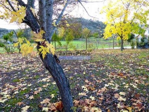 Casa de 9 quartos. Portugal, Norte, Mirandela.