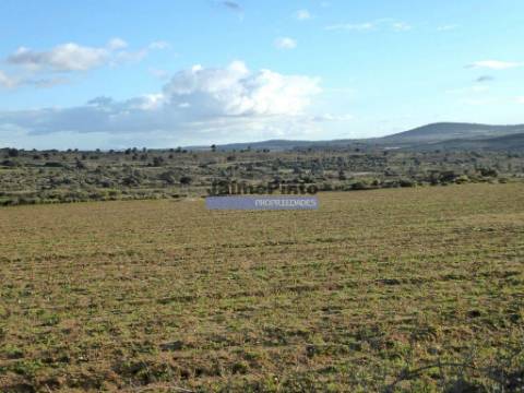 Propriedade 135.000m2 de terra p/ plantações novas. Portugal, Figueira Castelo Rodrigo.