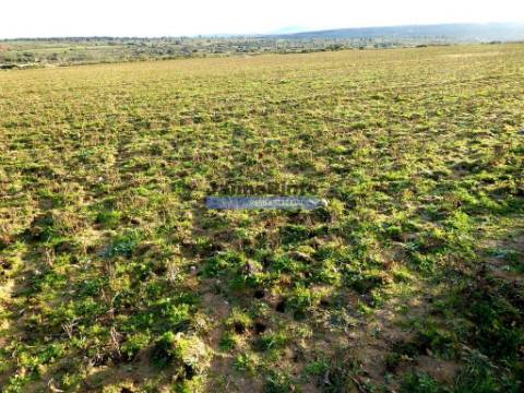 Propriedade 135.000m2 de terra p/ plantações novas. Portugal, Figueira Castelo Rodrigo.