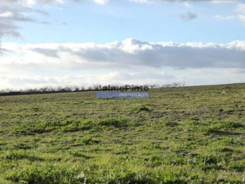 Propriedade 135.000m2 de terra p/ plantações novas. Portugal, Figueira Castelo Rodrigo.