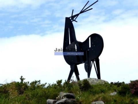 Moradia térrea V3, nova. Portugal, Campos, V. N. Cerveira.