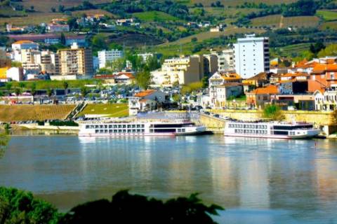Hotel aprovado p/ construção, 20 quartos, Peso da Régua. Portugal, Douro, Régua.