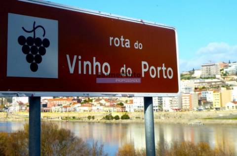 Hotel aprovado p/ construção, 20 quartos, Peso da Régua. Portugal, Douro, Régua.