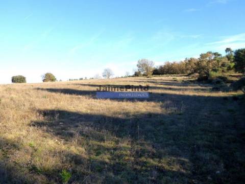 163.000m2 terra p/ plantações novas. Portugal, Douro Interior, F. C. Rodrigo.