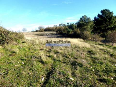 163.000m2 terra p/ plantações novas. Portugal, Douro Interior, F. C. Rodrigo.