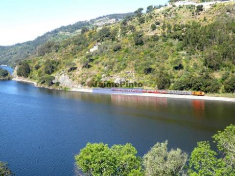 Moradia de Excelência, V3, vista rio Douro. Portugal, Resende, Aregos.