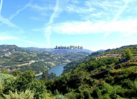 Moradia de Excelência, V3, vista rio Douro. Portugal, Resende, Aregos.
