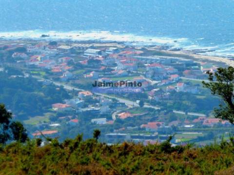 Casas de 3 e 4 quartos em terreno de 9.000m2. Portugal, Viana do Castelo, Caminha.