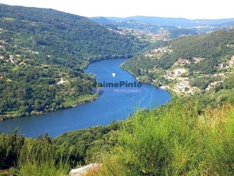 Terreno de encosta, ampla vista rio Douro. Portugal, Porto, Marco de Canaveses.