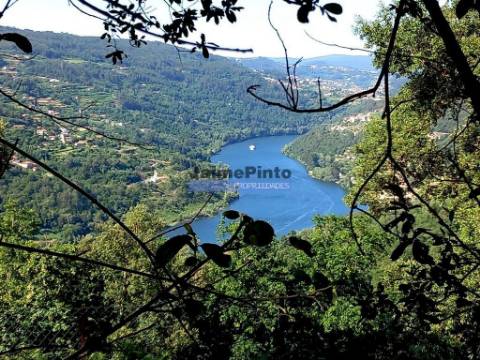 Terreno de encosta, ampla vista rio Douro. Portugal, Porto, Marco de Canaveses.