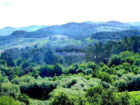 Hotel, pequena unidade de 38 quartos, no Minho, Norte de Portugal. Viana do Castelo, Arcos de Valdevez.
