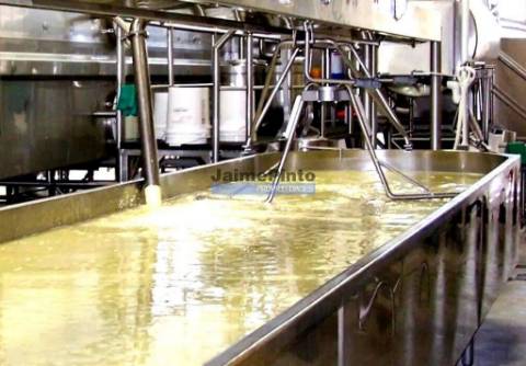 Indústria, Fábrica de Queijo, Participação maioritária. Portugal, Guarda.