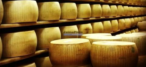 Indústria, Fábrica de Queijo, Participação maioritária. Portugal, Guarda.