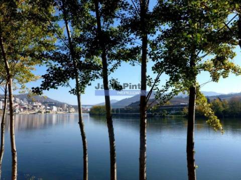 Moradia estilo antigo, V4, vista rio Douro. Portugal, Peso da Régua, Douro.