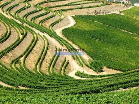 Moradia estilo antigo, V4, vista rio Douro. Portugal, Peso da Régua, Douro.