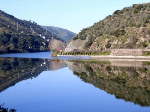 Moradia estilo antigo, V4, vista rio Douro. Portugal, Peso da Régua, Douro.