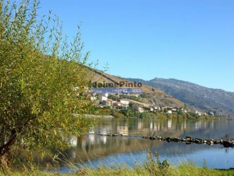 Moradia estilo antigo, V4, vista rio Douro. Portugal, Peso da Régua, Douro.