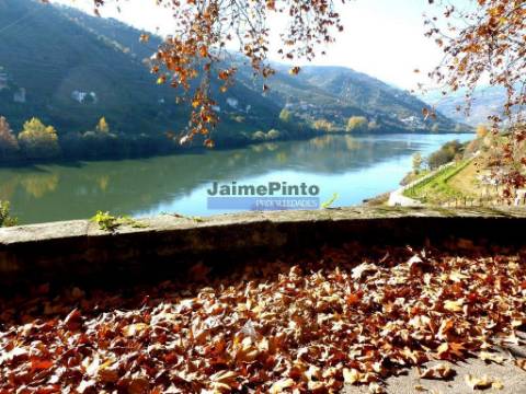 Moradia estilo antigo, V4, vista rio Douro. Portugal, Peso da Régua, Douro.