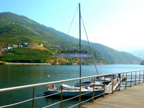 Moradia estilo antigo, V4, vista rio Douro. Portugal, Peso da Régua, Douro.