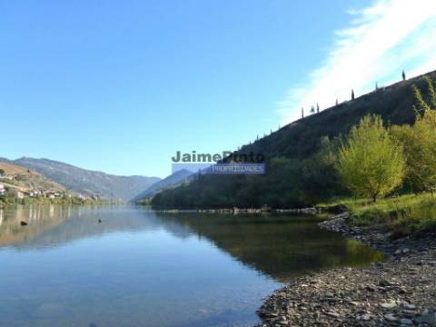 Moradia estilo antigo, V4, vista rio Douro. Portugal, Peso da Régua, Douro.