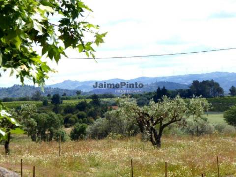 3ha Terreno Agrícola, com 2 Casas habitáveis. Portugal, Belmonte, Castelo Branco.