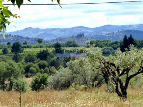 3ha Terreno Agrícola, com 2 Casas habitáveis. Portugal, Belmonte, Castelo Branco.