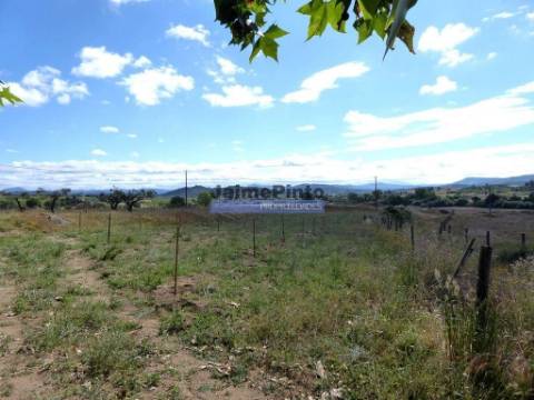 3ha Terreno Agrícola, com 2 Casas habitáveis. Portugal, Belmonte, Castelo Branco.