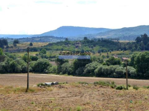 3ha Terreno Agrícola, com 2 Casas habitáveis. Portugal, Belmonte, Castelo Branco.