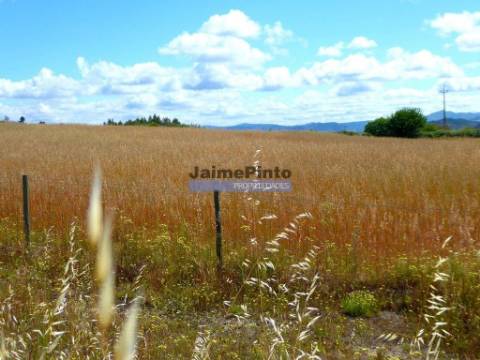Propriedade 80,1ha de Cultivo Agrícola. Portugal, Belmonte, Castelo Branco.