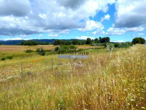 Propriedade 80,1ha de Cultivo Agrícola. Portugal, Belmonte, Castelo Branco.