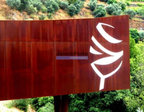 Quinta 10ha de Vinho do Porto e DOC, Pinhão. Portugal, Douro.