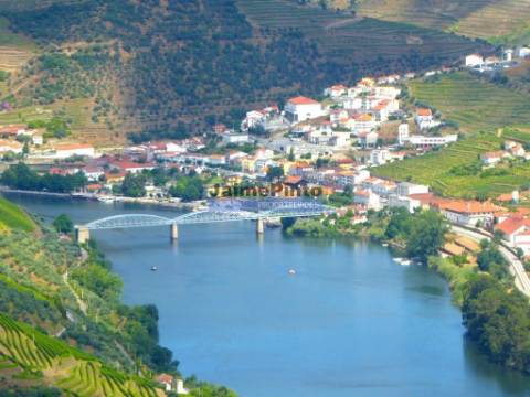 Quinta 10ha de Vinho do Porto e DOC, Pinhão. Portugal, Douro.