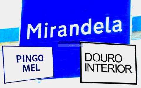 150.000m2 com Figueiras Biológicas, em Trás-os-Montes. Portugal, Mirandela.
