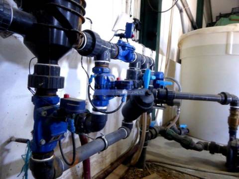 150.000m2 com Figueiras Biológicas, em Trás-os-Montes. Portugal, Mirandela.